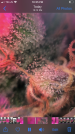9A190B81-B796-4D10-B7CF-E3E7339EDC51.png