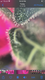 2F1B67B5-0A16-4A9C-B9BC-E5ED41206344.png