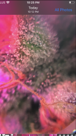 37C7B138-EA14-4AE8-A14D-71E5D89BB79A.png