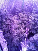 20200103_151347.jpg