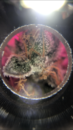 D653F519-B4C6-45B7-9BDA-8F1609B5AF74.png