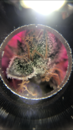 1666A4B9-72D5-4115-8DCC-0F19EBC8628C.png
