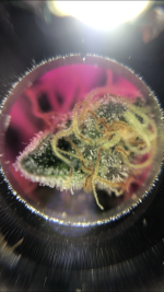 1793616C-7446-4449-9EAC-76B2880B7249.png
