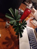 IMG_20200103_210918.jpg