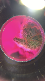 B27F7946-4E49-446B-9BD7-D5DAC08E0E60.png