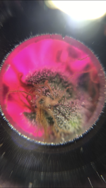 66D9AC11-1B8E-41AE-BBD6-9B735486E3C4.png