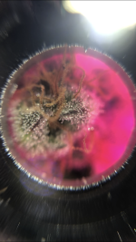 5C256E19-F070-4794-A577-9A94F92122B6.png