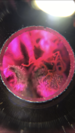 1D1F9B3F-68BA-447D-9DED-9FF80D695B42.png