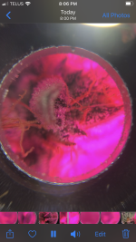 54462259-6548-43D0-82C9-1F3FF547116B.png