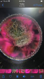 AB3E76E4-FE6F-4AEA-AB8E-29B954D3A994.png