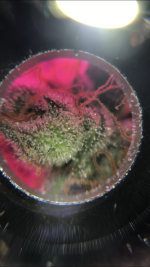 103F796C-AE1D-4913-A259-A57F93AA0894.png