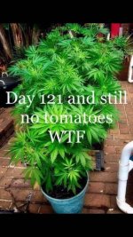 49B403B4-545E-44CA-A085-7BD2224D76C3.jpeg