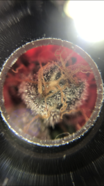 797BE2EA-C460-431A-9492-0E0E17DDC4D4.png