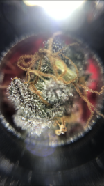 144DD205-B6C7-4AE4-B78C-5BA94A0F6782.png