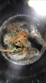 8558B4B4-E5B4-4F8C-A968-2F2C839AE274.png