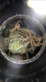 7D8BC377-E611-4223-8619-E0A23D5C0081.png