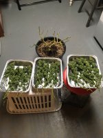 photo94650.jpg