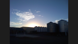 photo9829.png