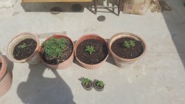 20170206_125052.jpg