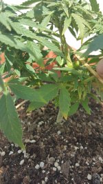 20170206_124740.jpg