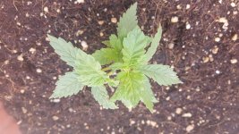 20170206_124933.jpg