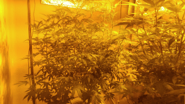 photo10210.gif