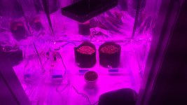 photo10236.jpg
