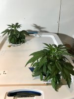 photo10297.jpg