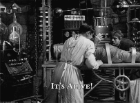 photo10594.gif