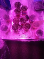 20170214_194934.jpg