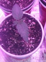 20170213_080348.jpg