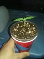 20170213_080130.jpg