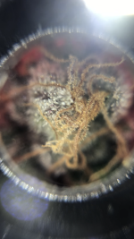 41206177-C0AB-4109-98D9-AADECD458E33.png