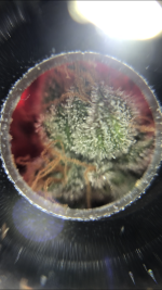F2044A31-1453-4D5D-86F2-6DAEE19E39A6.png