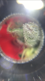 C3940F20-9F3B-4B40-88C0-865C0B5439E2.png