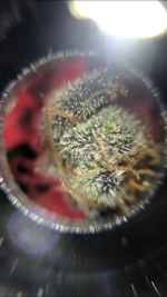 743C1E03-D88C-4AEC-B3A8-B72A1731F722.png