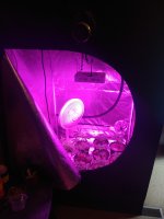 IMG_20200117_140935014.jpg