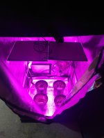 IMG_20200117_141017044.jpg