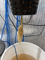 IMG_1893.jpg