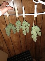 IMG_20200125_162613874.jpg