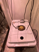 photo95737.gif