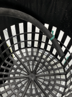 photo95740.gif