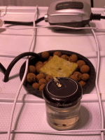 photo95741.gif