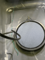 photo95742.gif