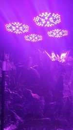 photo95858.jpg