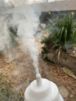 photo95913.gif