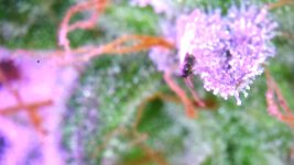 071507BF-3C94-4D89-A50D-1F7CAE69D567.jpeg