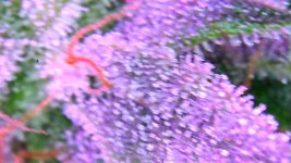 B443F856-F397-470D-A874-22A6DF8091E8.jpeg
