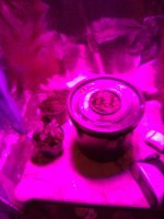 photo96287.jpg