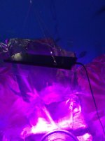 photo96289.jpg